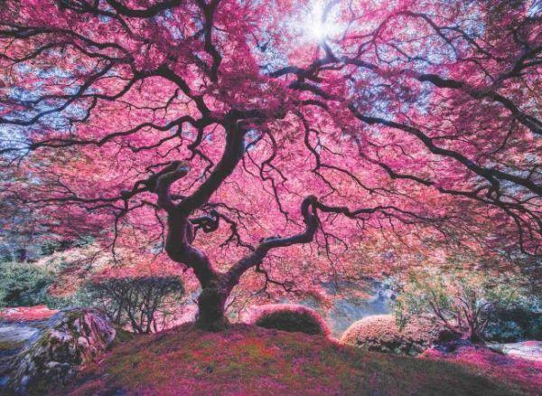 Pink Tree (1000pc)