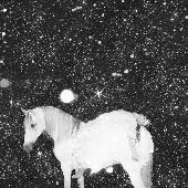 Apocalypse Love (LP violet)