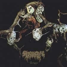 Sparagmos (Black Vinyl)