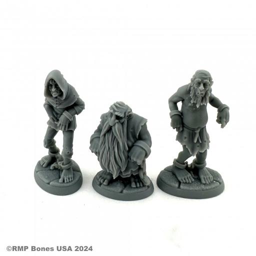 Dungeon Dwellers Bones Prisoners (3)