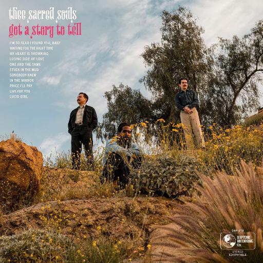 Got a Story To Tell (Limited Magenta LP)