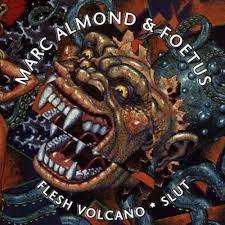 Flesh Volcano (CD)