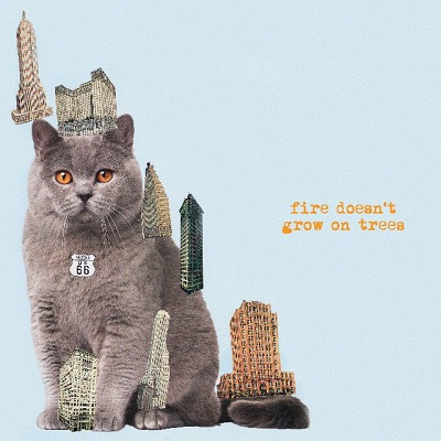 [AUK049LP] Fire Doesn’t Grow On Trees (LP 180grm)