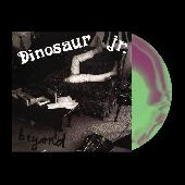 [BGRLPC14] Beyond (LTD. PURPLE &amp; GREEN VINYL)