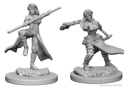 [WZK72634] Human Female Monk D&amp;D Nolzur’s Marvelous Miniatures