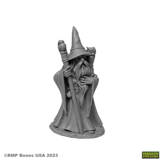 [RPR07077] Dungeon Dwellers Bones Anuminar Winterbeard, Wizard