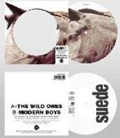 [DEMSING055] The Wild Ones (30th Anniversary Picture Disc)