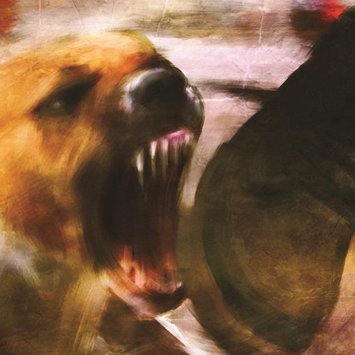 [3RD047] Pelkkää Pimeää (CD)