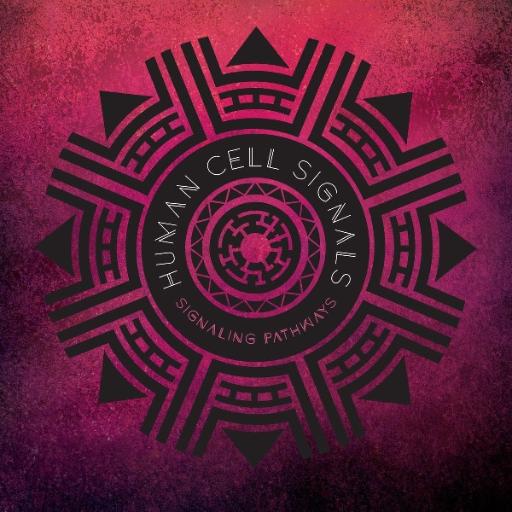 [ECD-2020108] Signaling Pathways (CD Digipak)