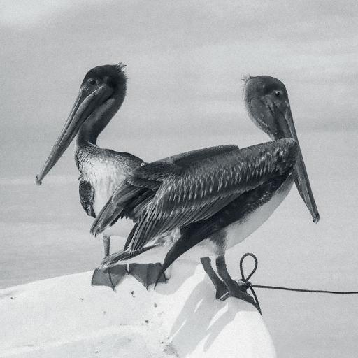 [ELP-202027] Blink And You Miss It (LP)