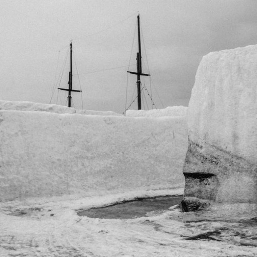 [PEL198-V] Nature (LP)